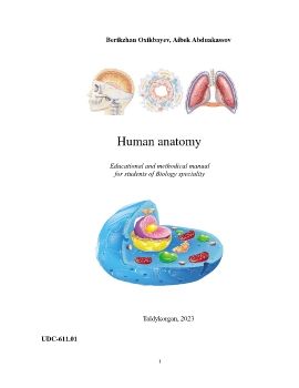 Human anatomy COMPLETELY DONE1