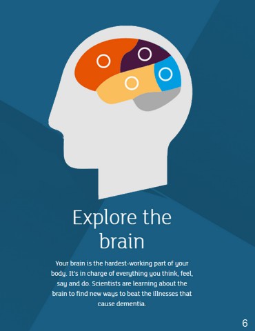 6 Brain 1