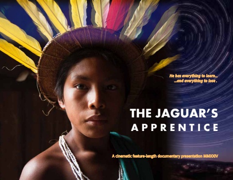 Jaguar's Apprentice 2024 AB5 small R