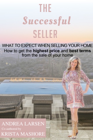The Successful Seller