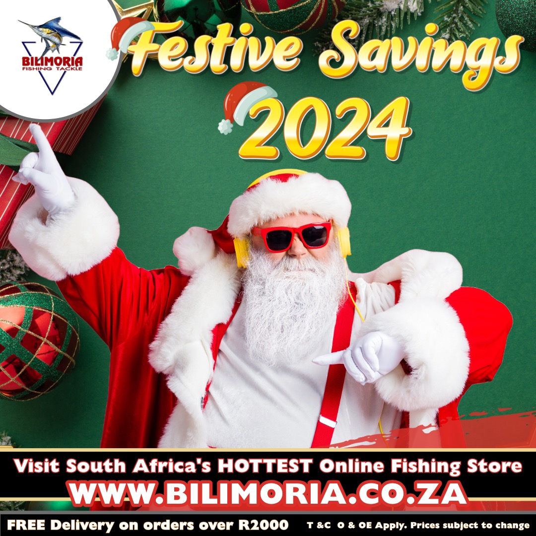 Festive Savings 2024