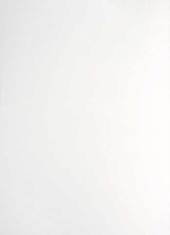 parte3-il libro de le 100 masserie