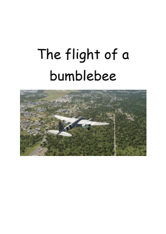 The flight of a bumblebee