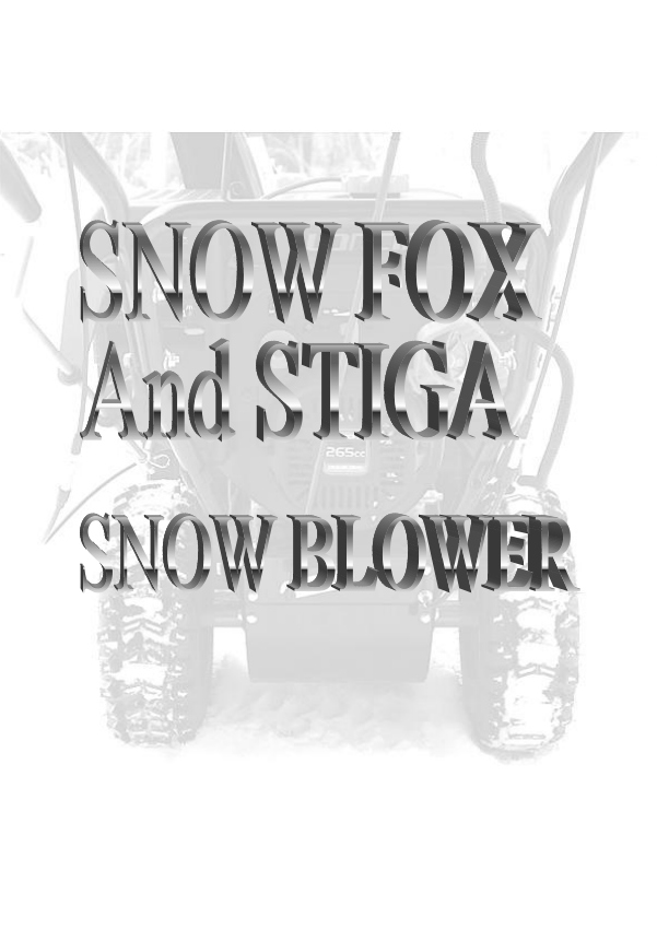 Snow Fox Blower