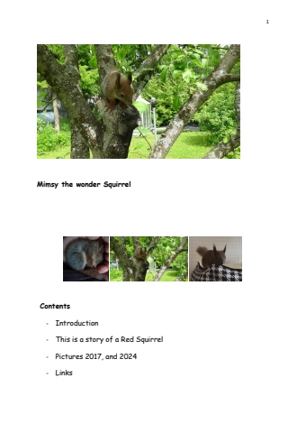 Mimsy the wonder Squirrel