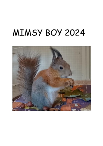 MIMSY  2024