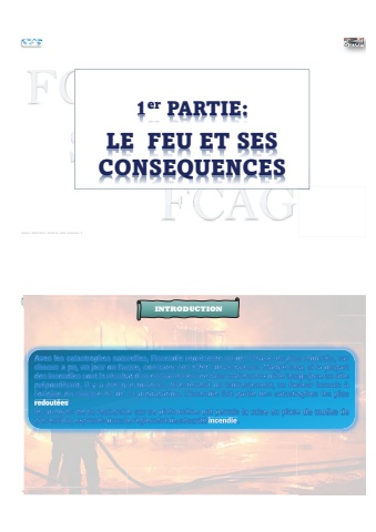 1P-S1-LE FEU EST SES CONSEQUENCES SSIAP 3 2024