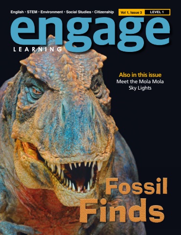 dinosaur