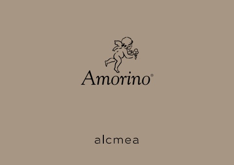 230620-AMORINOXALCMEA PRESENTATION