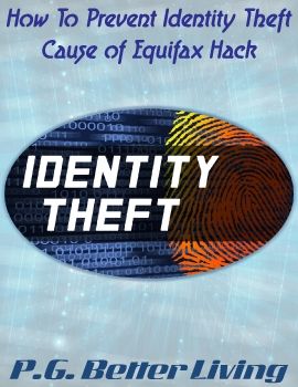 Identity Theft.pdf