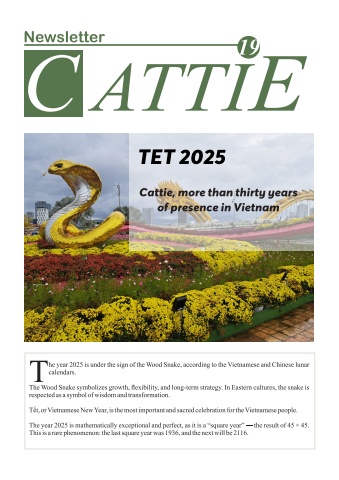 Cattie Newsletter - Courrier de Cattie