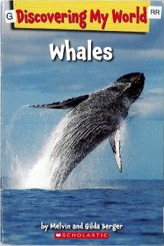 RR-G-Whales