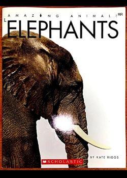 RR-L-Elephants