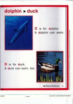 RR-B-Dolphin_Duck