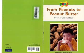 From Peanuts to Peanut Butter_Level 28