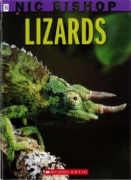 GR-S-Lizards
