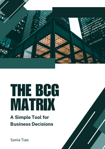 THE BCG MATRIX