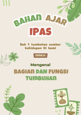 Bagian-Bagian Tumbuhan dan Fungsinya