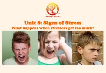 UNIT 8 Signs of Stress