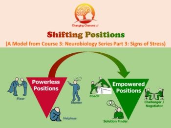 Course 3 Neurobiology Part 3 Signs of Stress: Positions