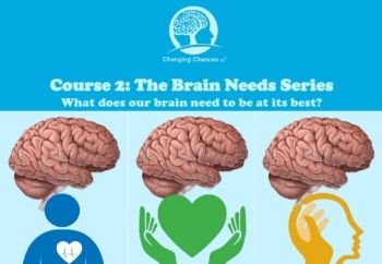 Course 2 Brain Needs Series_Neat