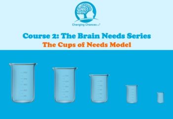 Course 2 Brain Needs Series: Cups of Needs Model