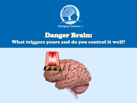 01 flipbook for danger brain