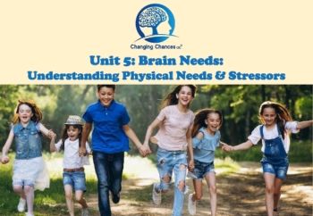 Unit 5 Brain Needs: Understanding Physical Needs & Stressors