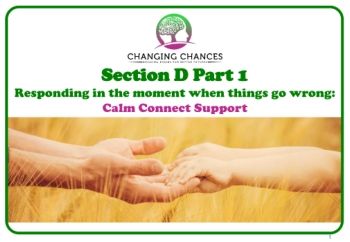 Responding in the Moment - Calm Connect Support 2020-2021