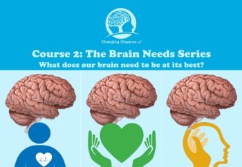 Course 2 The Brain Needs Series