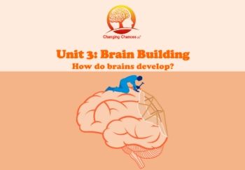 Unit 3: Brain Building