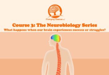 Course 3 The Neurobiology Series