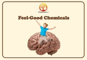 Feel Good Chemicals Flipbook