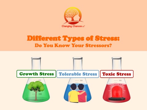 03 flipbook for types of stress