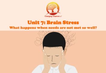 Unit 7 Brain Stress