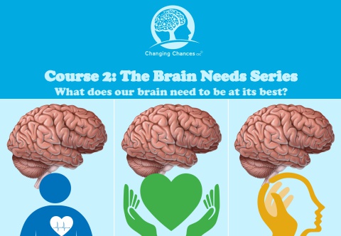 EA Handbook Course 2 Part 4 Summarising Our Brain Needs 2024 2025