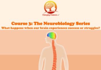 Course 3 Neurobiology Part 4 Brain Shaping