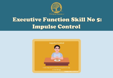 Impulse Control Flipbook