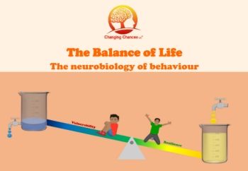 Balance of Life Animation