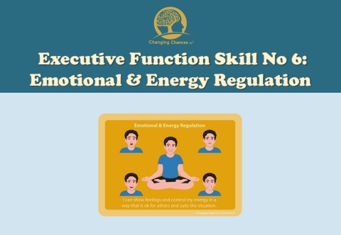 09 Self-Regulation Flipbook