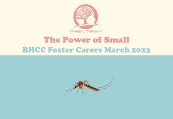 Foster Carer Conference 25.03.2023