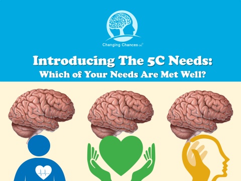 Introducing The 5C Needs