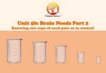 Course 2: Brain Needs Series: Cups of Needs Model