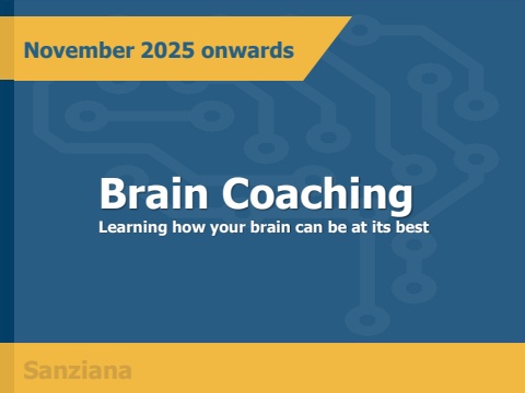 sanziana flipbook nov 2025