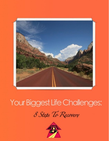 Your biggest Life Challenges - 8 Steps To Recovery - Member Edition