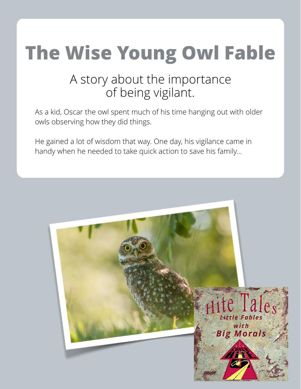 The Wise Young Owl - Fable - Member Edition