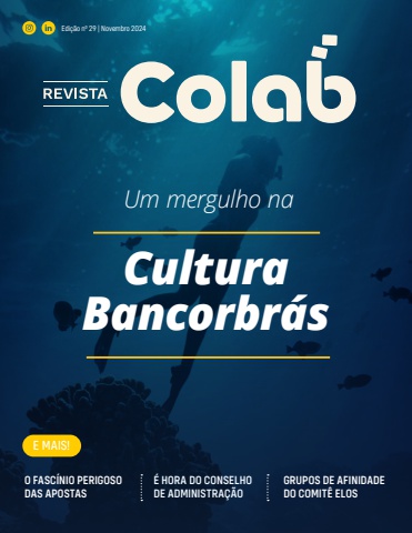 29COLAB_Novembro2024