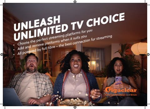 31954_November_BF_TV_Insert_25U11TV_HR_PROOF