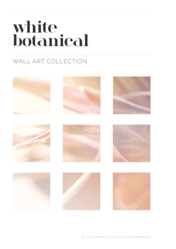 White Botanical Wall Art Catalogue