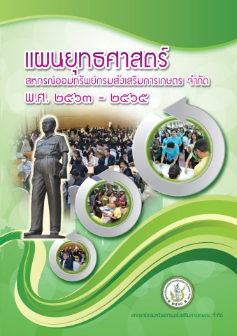 ยุทธศาสตร์ 2563-2565